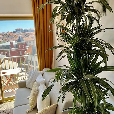 Superb Floor Studio, Center. Apartment