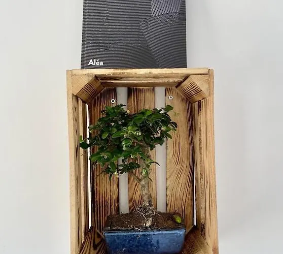 Superb Floor Studio, Center. Apartament