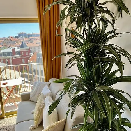 Superb Floor Studio, Center. Daire