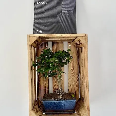 Superb Floor Studio, Center. Apartman